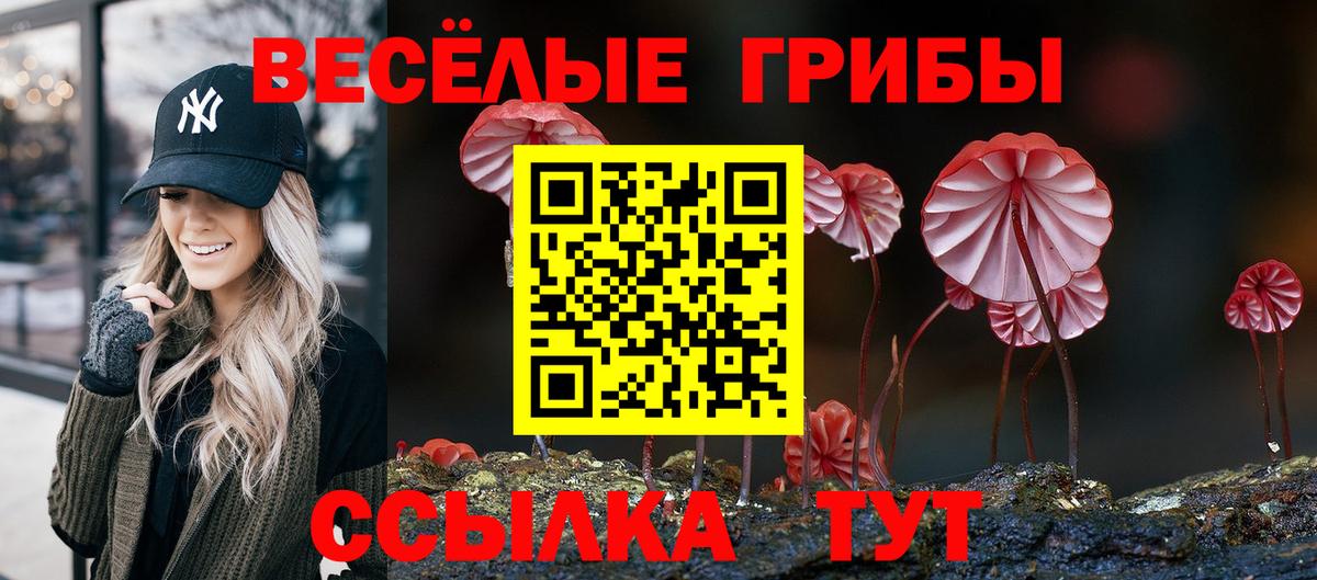 Сланцы  Псилоцибиновые грибы Cubensis  Вход с VPN  Галлюциногенные грибы прущие грибы 